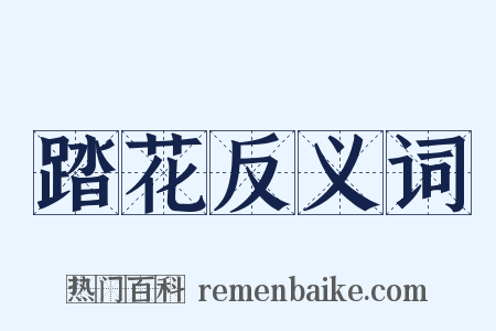 踏花反义词是什么意思的图片